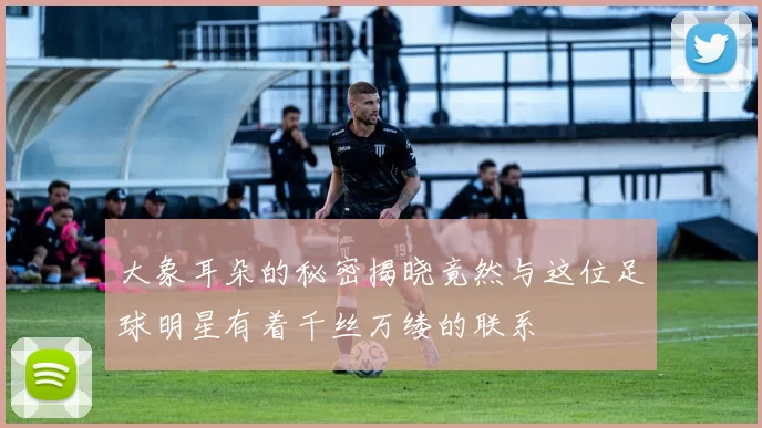 大象耳朵的秘密揭晓竟然与这位足球明星有着千丝万缕的联系
