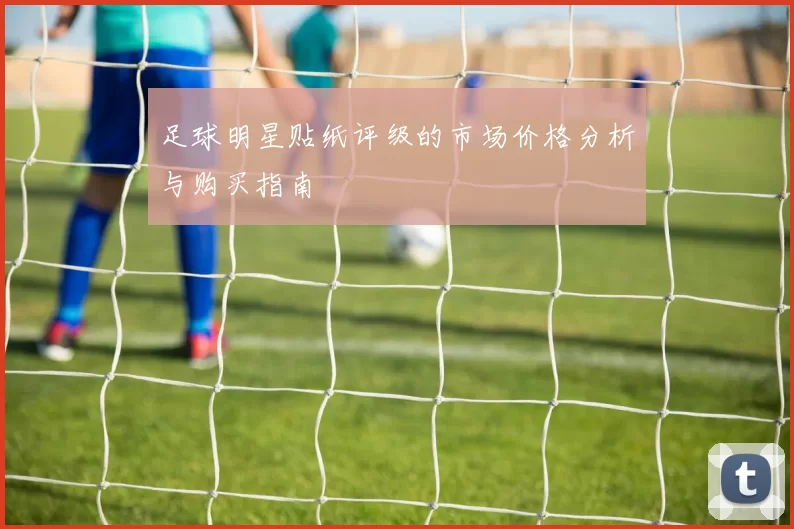 足球明星贴纸评级的市场价格分析与购买指南