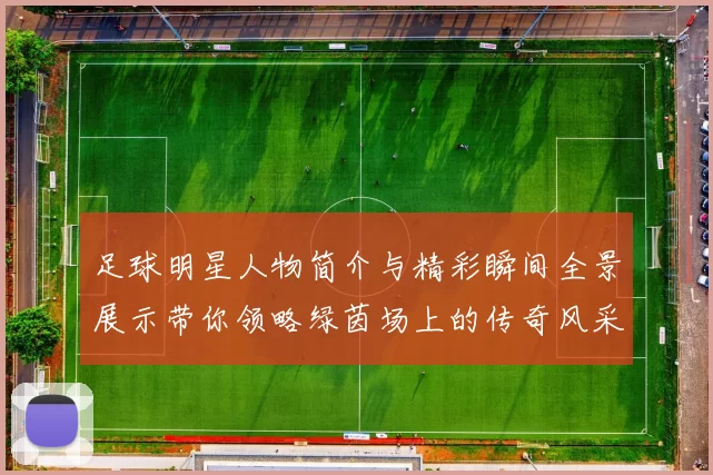 足球明星人物简介与精彩瞬间全景展示带你领略绿茵场上的传奇风采
