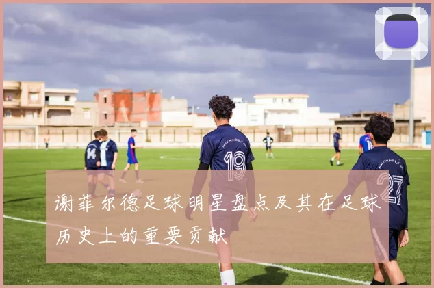 谢菲尔德足球明星盘点及其在足球历史上的重要贡献