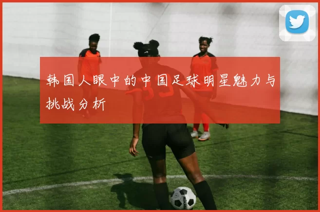 韩国人眼中的中国足球明星魅力与挑战分析