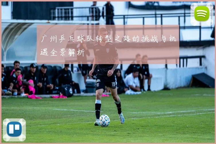 广州乒乓球队转型之路的挑战与机遇全景解析