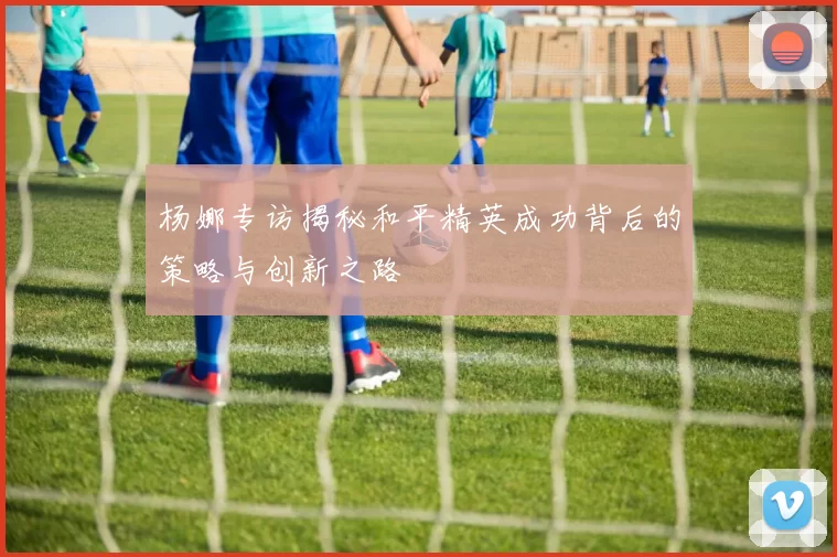 杨娜专访揭秘和平精英成功背后的策略与创新之路