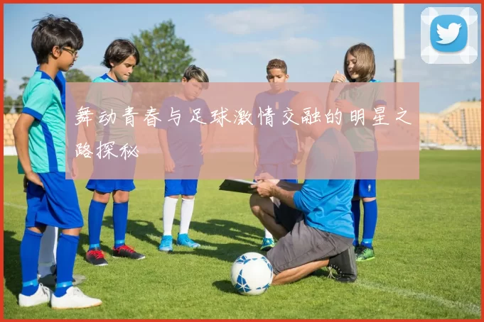 舞动青春与足球激情交融的明星之路探秘
