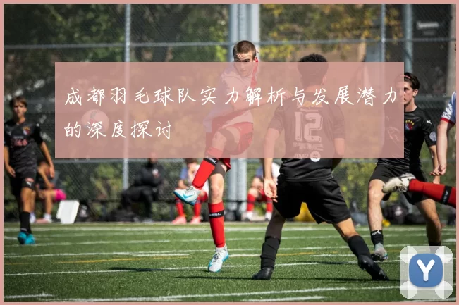 成都羽毛球队实力解析与发展潜力的深度探讨