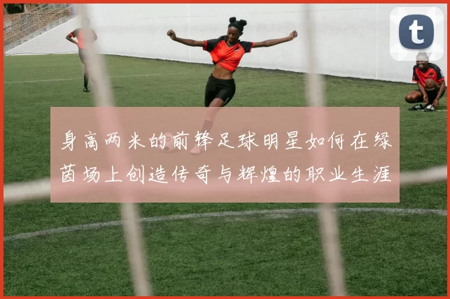 身高两米的前锋足球明星如何在绿茵场上创造传奇与辉煌的职业生涯