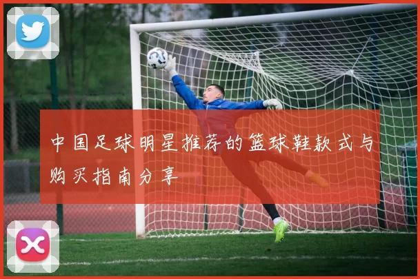 中国足球明星推荐的篮球鞋款式与购买指南分享