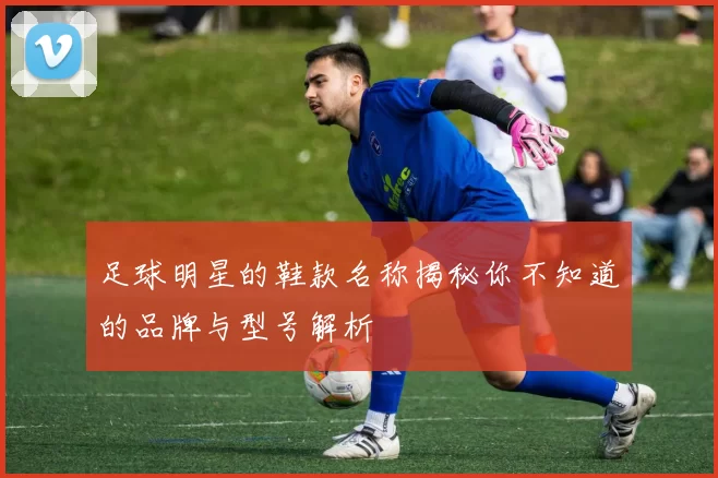 足球明星的鞋款名称揭秘你不知道的品牌与型号解析