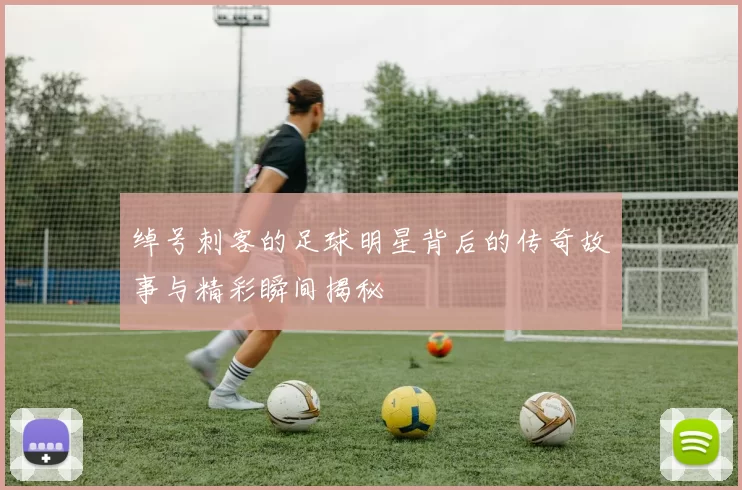 绰号刺客的足球明星背后的传奇故事与精彩瞬间揭秘