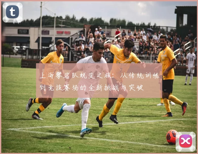 上海攀岩队蜕变之旅：从传统训练到竞技赛场的全新挑战与突破