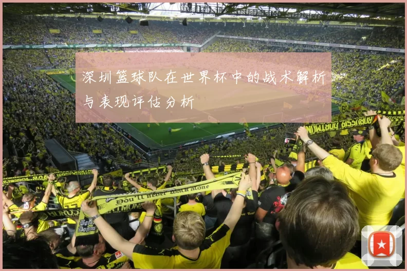 深圳篮球队在世界杯中的战术解析与表现评估分析
