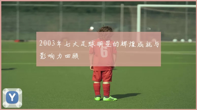 2003年七大足球明星的辉煌成就与影响力回顾